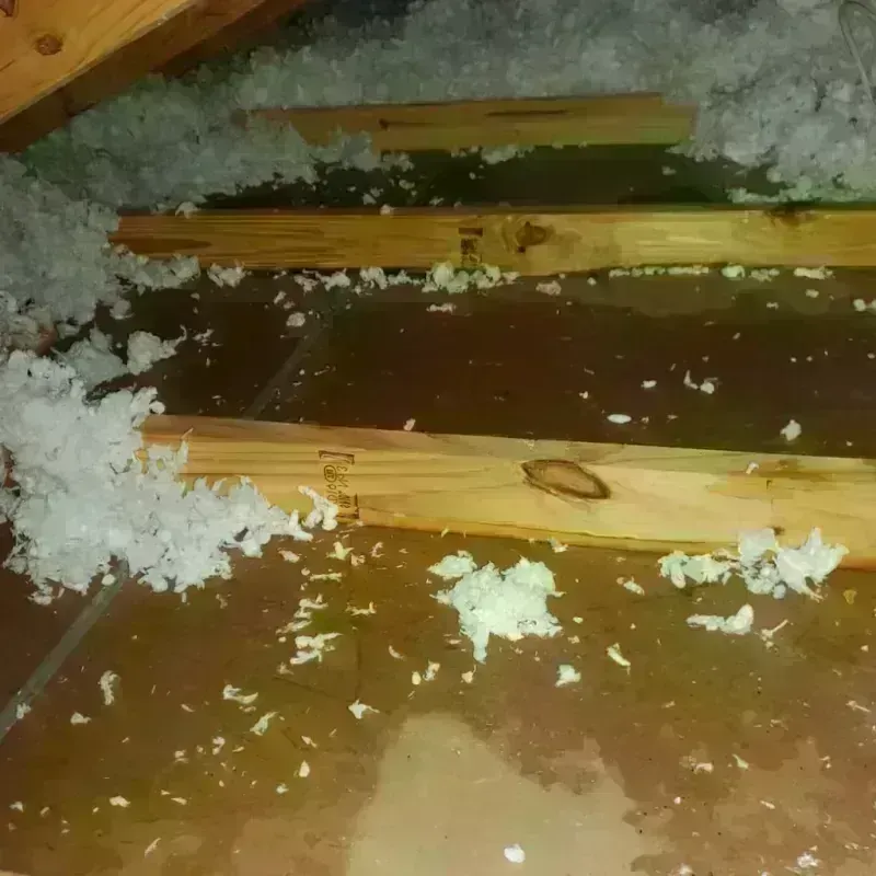 Attic Water Damage in Cuba, MO